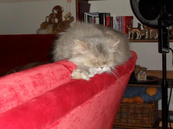 Bild zu