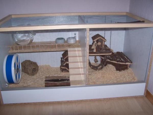 Bild zu Hamsterkäfig Nochmal hochhol - Haustiere