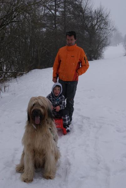 Bild zu 