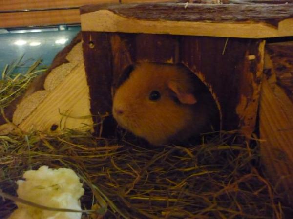 Bild zu 