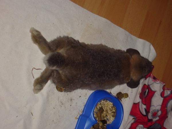 Bild zu 