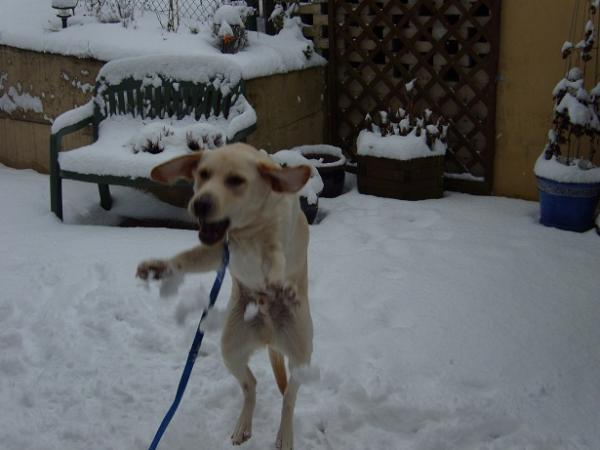 Bild zu 