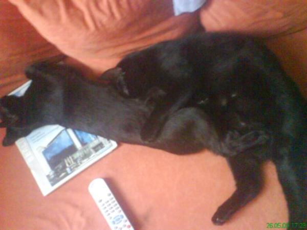 Bild zu 