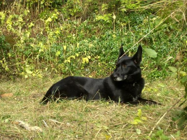 Bild zu 