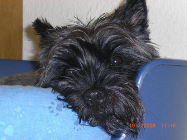Bild zu 