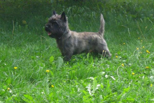 Bild zu 
