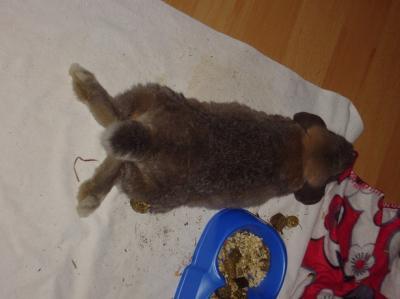 Bild zu