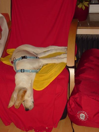 Bild zu