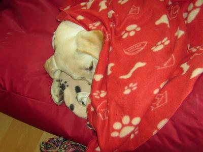 Bild zu