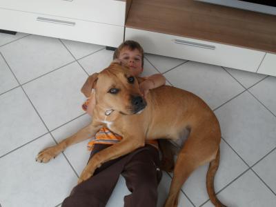 Bild zu