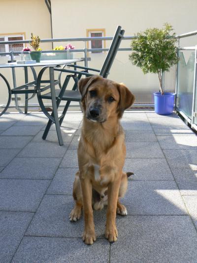 Bild zu