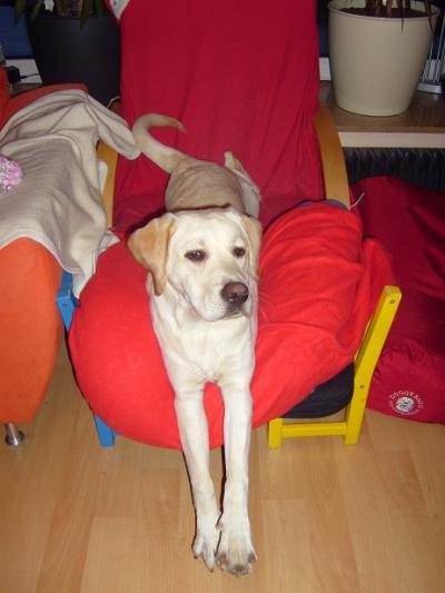 Bild zu 