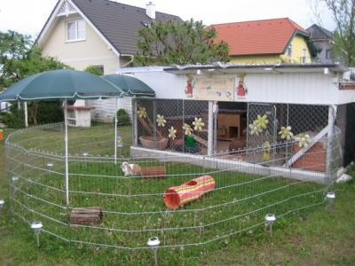 Bild zu