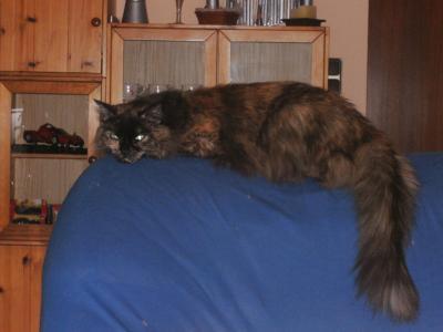 Bild zu