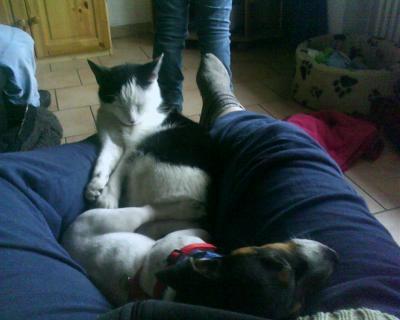 Bild zu