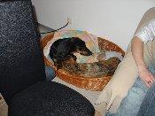 Bild zu 
