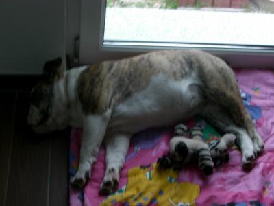 Bild zu