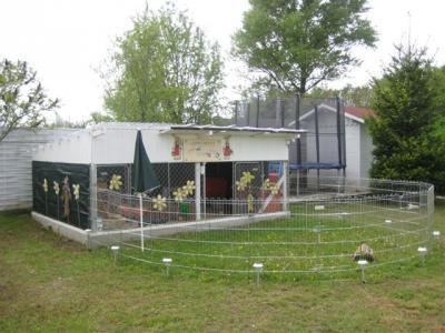Bild zu 