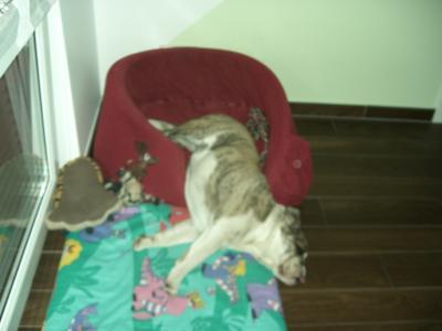Bild zu 
