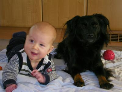 Bild zu Baby und Futterplatz - Haustiere