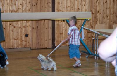 Bild zu 