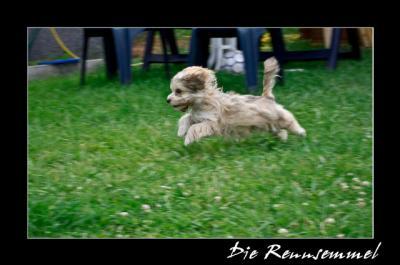 Bild zu 