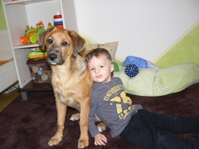 Bild zu 