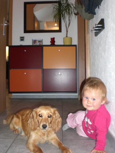 Bild zu