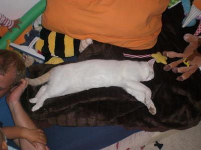 Bild zu