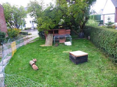 Bild zu Unser vorläufiges Kaninchengehege ist fertig! - Haustiere