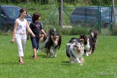 Bild zu