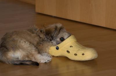 Bild zu 