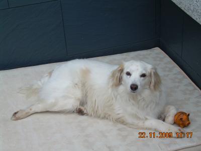 Bild zu
