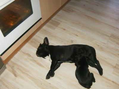 Bild zu