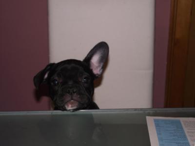 Bild zu 
