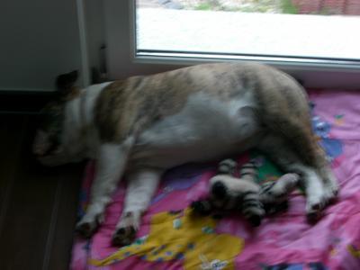 Bild zu 