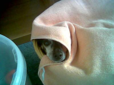Bild zu 