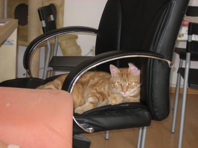 Bild zu