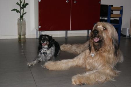 Bild zu