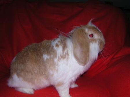 Bild zu