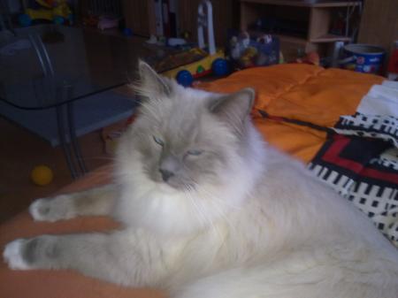 Bild zu