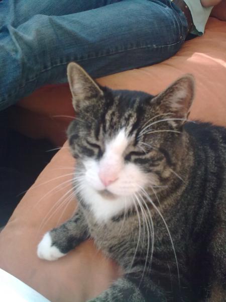 Bild zu