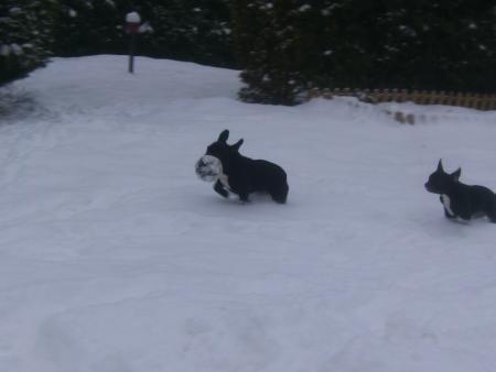 Bild zu