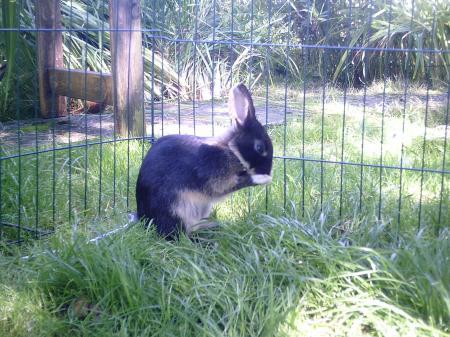 Bild zu