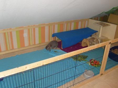 Bild zu