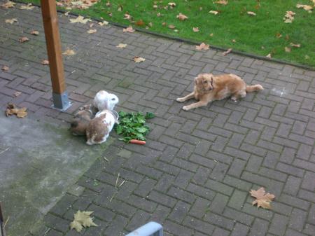 Bild zu