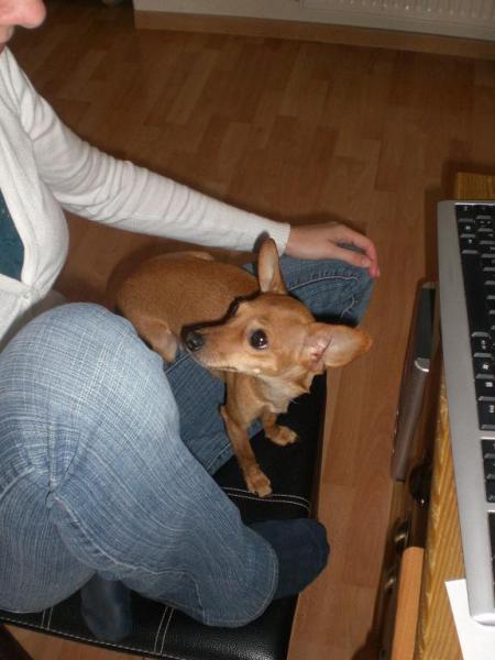 Bild zu
