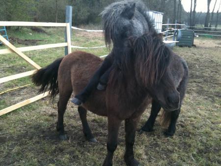 Bild zu