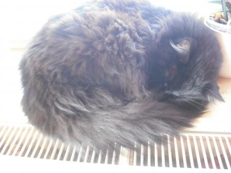 Bild zu 