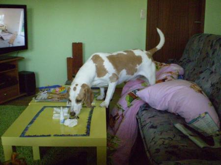 Bild zu
